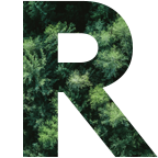 Recycling & Circular Economy